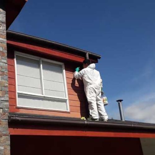 Pintura exterior